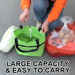Convertible shopping tote – hides wheels, holds 20kg, expands with zipper!