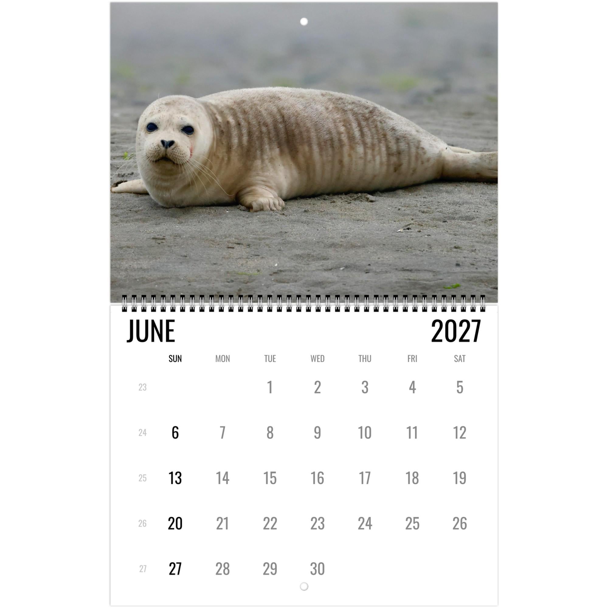 2027 Cute Seal Wall Calendar, Wildlife Ocean Animal Gift